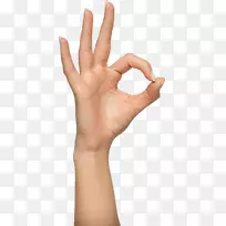 手剪贴画-手PNG手像-空若网 手剪贴画-手PNG手像-空若网