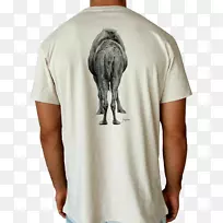 t������綯��t��-������