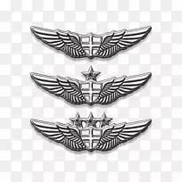 徽章-航空翼针-空若网 徽章-航空翼针-空若网