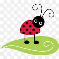 瓢虫夹艺术蝴蝶应用-昆虫-空若网 瓢虫夹艺术蝴蝶应用-昆虫-空若网