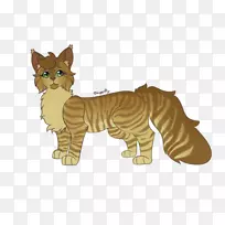 胡须虎猫动物陆生动物-老虎-空若网 胡须虎猫动物陆生动物-老虎-空若网