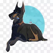 澳洲雪橇犬繁育护卫犬-麦克白王冠头骨-空若网 澳洲雪橇犬繁育护卫犬-麦克白王冠头骨-空若网