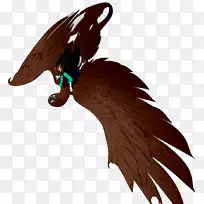 猛禽动物群羽毛鸟-空若网 猛禽动物群羽毛鸟-空若网