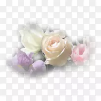 花束花园玫瑰剪贴画切花-空若网 花束花园玫瑰剪贴画切花-空若网