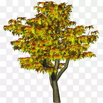 剪贴画png图片开放部分树图像树-空若网 剪贴画png图片开放部分树图像树-空若网