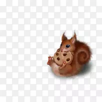 松鼠绘画艺术水彩画剪贴画-松鼠-空若网 松鼠绘画艺术水彩画剪贴画-松鼠-空若网