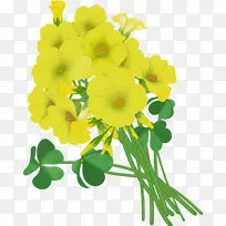 �������Ұ������ͼ��.����-������