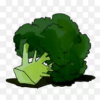 插图蔬菜甘蓝意大利西兰花食品-蔬菜-空若网 插图蔬菜甘蓝意大利西兰花食品-蔬菜-空若网