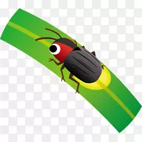 昆虫插图剪贴画萤火虫产品设计.昆虫-空若网 昆虫插图剪贴画萤火虫产品设计.昆虫-空若网