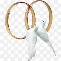 欧云婚礼-天鹅-空若网 欧云婚礼-天鹅-空若网