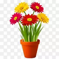 剪贴画花盆png图片室内植物.花卉-空若网 剪贴画花盆png图片室内植物.花卉-空若网