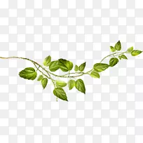 pngͼƬ¼ô¼ÒÕÊõadobe PhotoshopͼÏñ.СÊ÷Ö¦-¿ÕÈôÍø pngͼƬ¼ô¼ÒÕÊõadobe PhotoshopͼÏñ.СÊ÷Ö¦-¿ÕÈôÍø