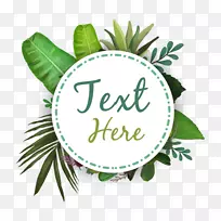 ÈÈ´øË®²Ê»Ê÷Ò¶²å»¨ÒÕÊõ-¿ÕÈôÍø ÈÈ´øË®²Ê»Ê÷Ò¶²å»¨ÒÕÊõ-¿ÕÈôÍø