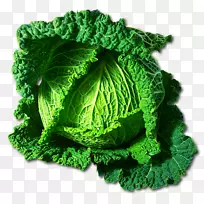 西沃伊卷心菜剪贴画蔬菜红卷心菜-卷心菜-空若网 西沃伊卷心菜剪贴画蔬菜红卷心菜-卷心菜-空若网