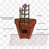 产品设计有机体字体-空若网 产品设计有机体字体-空若网