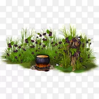 花盆草紫泡草簇预写思路-空若网 花盆草紫泡草簇预写思路-空若网