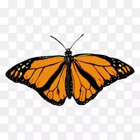 µÛÍõºûµûÀ¥³æ¼ÐÒÕÊõpngͼƬ.ºûµû-¿ÕÈôÍø µÛÍõºûµûÀ¥³æ¼ÐÒÕÊõpngͼƬ.ºûµû-¿ÕÈôÍø