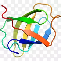 ��������Ʒ�����-��ԭ��ʵ��-������