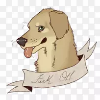 犬种小狗爱寻回犬-空若网 犬种小狗爱寻回犬-空若网