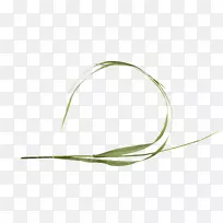 商品叶系-трава-空若网 商品叶系-трава-空若网