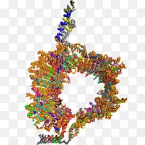 ���������鱦����.�����忪��-������