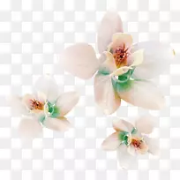 4��С����Ȼ���������ĳ����ϡ��ë.150����v.unc.nr�¶�����-�Ŷ�-������