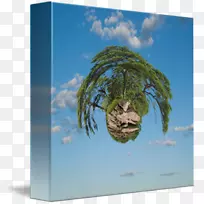 /m/02j71������ľͼƬ-����-������