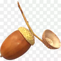 ����-������