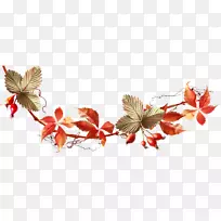 秋奥格里斯剪贴画-橡子-空若网 秋奥格里斯剪贴画-橡子-空若网