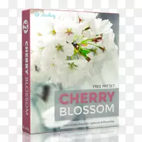 Adobe Lighttroom摄影土坯Photoshop PSD-樱桃材料-空若网 Adobe Lighttroom摄影土坯Photoshop PSD-樱桃材料-空若网