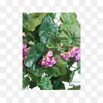 花束设计切花丁香花-空若网 花束设计切花丁香花-空若网