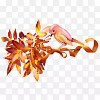 ½ðÇï°Ë½Ç-¿ÕÈôÍø ½ðÇï°Ë½Ç-¿ÕÈôÍø