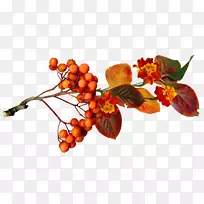 �ｬ������-������