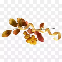 ����˽�����-����-������