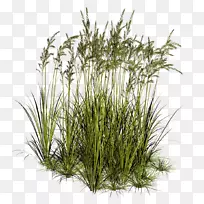 pngͼƬ��������psd adobe Photoshop��-������