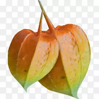 下载奥格里斯剪贴画-秋叶-空若网 下载奥格里斯剪贴画-秋叶-空若网