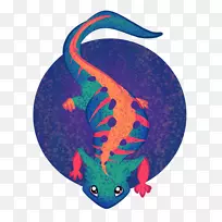 海洋生物-火龙-空若网 海洋生物-火龙-空若网