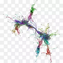 花卉设计小枝植物茎开花植物工程应用前景-空若网 花卉设计小枝植物茎开花植物工程应用前景-空若网