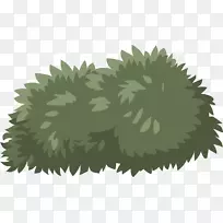 灌木开花植物剪贴画灌木丛-空若网 灌木开花植物剪贴画灌木丛-空若网