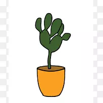 室内植物开花植物剪贴画-仙人掌-空若网 室内植物开花植物剪贴画-仙人掌-空若网