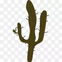 仙人掌科鼹鼠开花植物-仙人掌-空若网 仙人掌科鼹鼠开花植物-仙人掌-空若网