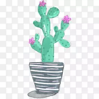 �����ƿƿ���ֲ��Instagram-������-������