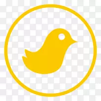 ��������Ʒ�߶���.��ɫ-������