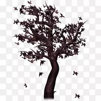 中心博客网络图形图像植物茎-日志纹理-空若网 中心博客网络图形图像植物茎-日志纹理-空若网