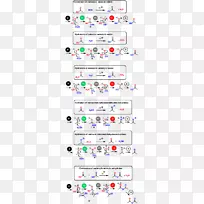 �л���ѧ��ѧ��Ӧ����̶��۸�-������