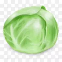 卷心菜电脑图标蔬菜食品-卷心菜-空若网 卷心菜电脑图标蔬菜食品-卷心菜-空若网