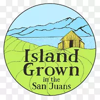 ʥ����Ⱥ����־����Ʒ�Ƽ�����-������