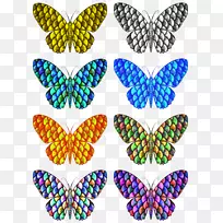 帝王蝴蝶刷足蝴蝶对称剪贴画-空若网 帝王蝴蝶刷足蝴蝶对称剪贴画-空若网