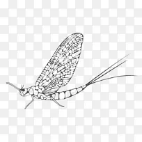 ����ͼ������Ǻ���������-����-������