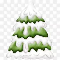 澳大利亚圣诞贺卡画新年-冷杉-空若网 澳大利亚圣诞贺卡画新年-冷杉-空若网